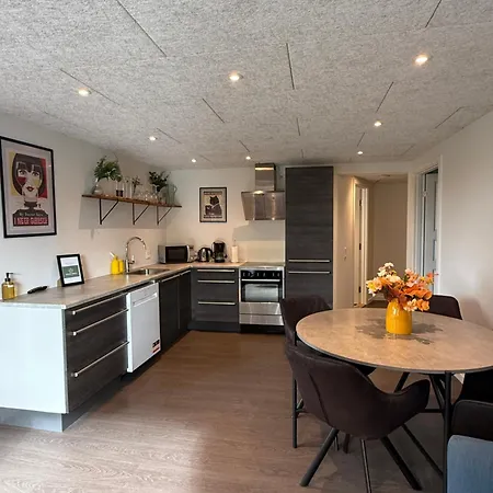 Daire Hygge Retreat Billund 101